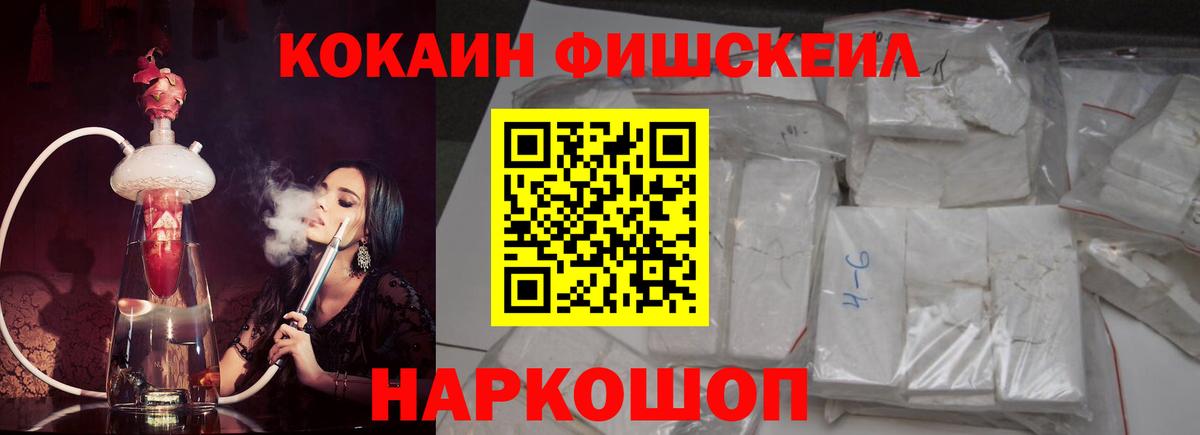 COCAIN Fish Scale  COCAIN  Cocaine Columbia  Заречный  Вход с VPN 