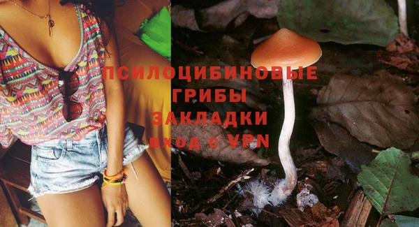 бошки Белокуриха