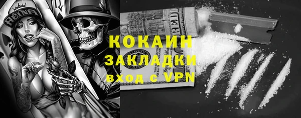 стаф Зерноград