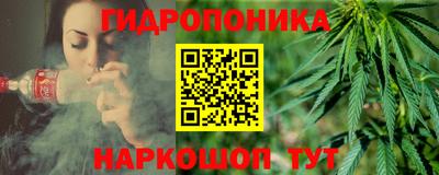 шишки Иваново