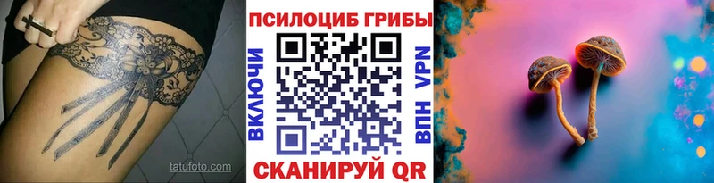 купить закладку  Заречный  Галлюциногенные грибы MAGIC MUSHROOMS 