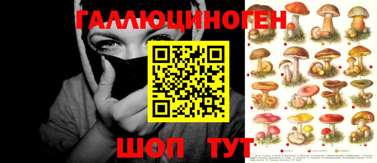 Псилоцибиновые грибы ЛСД  Вход с VPN  Заречный 