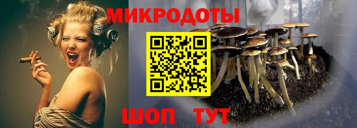 Галлюциногенные грибы Psilocybe Заречный